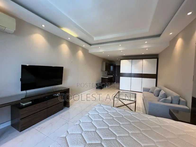 Furnished Studio Apartment in Masaki, Kinondoni for rent