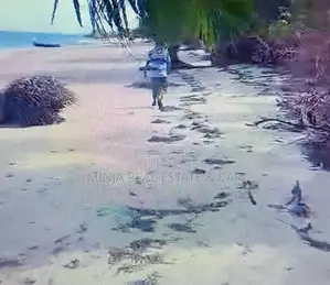 Beach Plot for Sale Banja Mafia