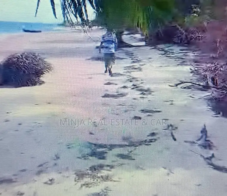 Beach Plot for Sale Banja Mafia