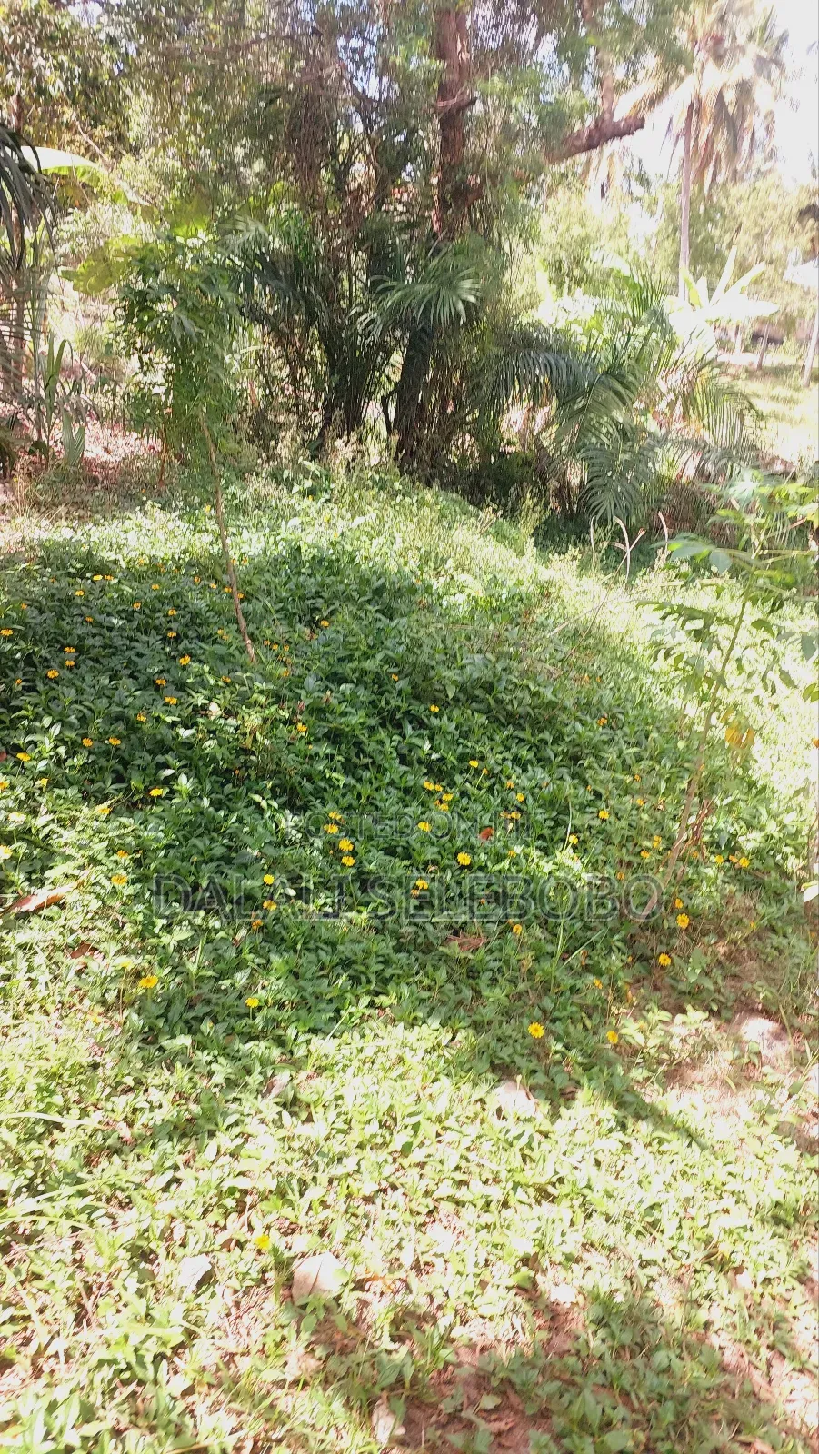 Plot Nzur Sana at Mbezi Kibanda Cha Mkaa