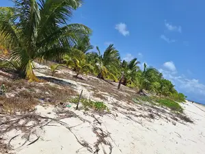 White Sand Beach Pllot for Sale Bweni Mafia Island