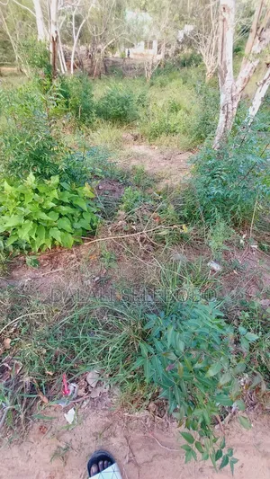 Plot Nzur Sana at Mbweni Ubungo