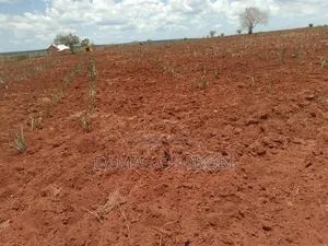 Acre 1000 Zinauzwa Tanga