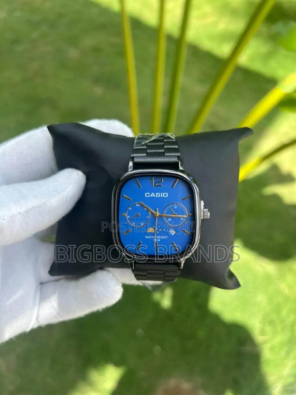 New Casio Watches /New Design