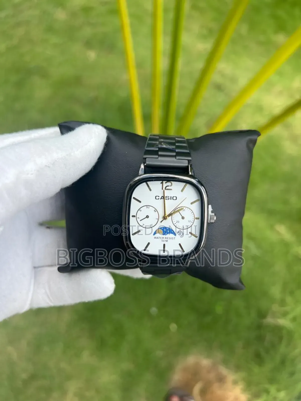 New Casio Watches /New Design