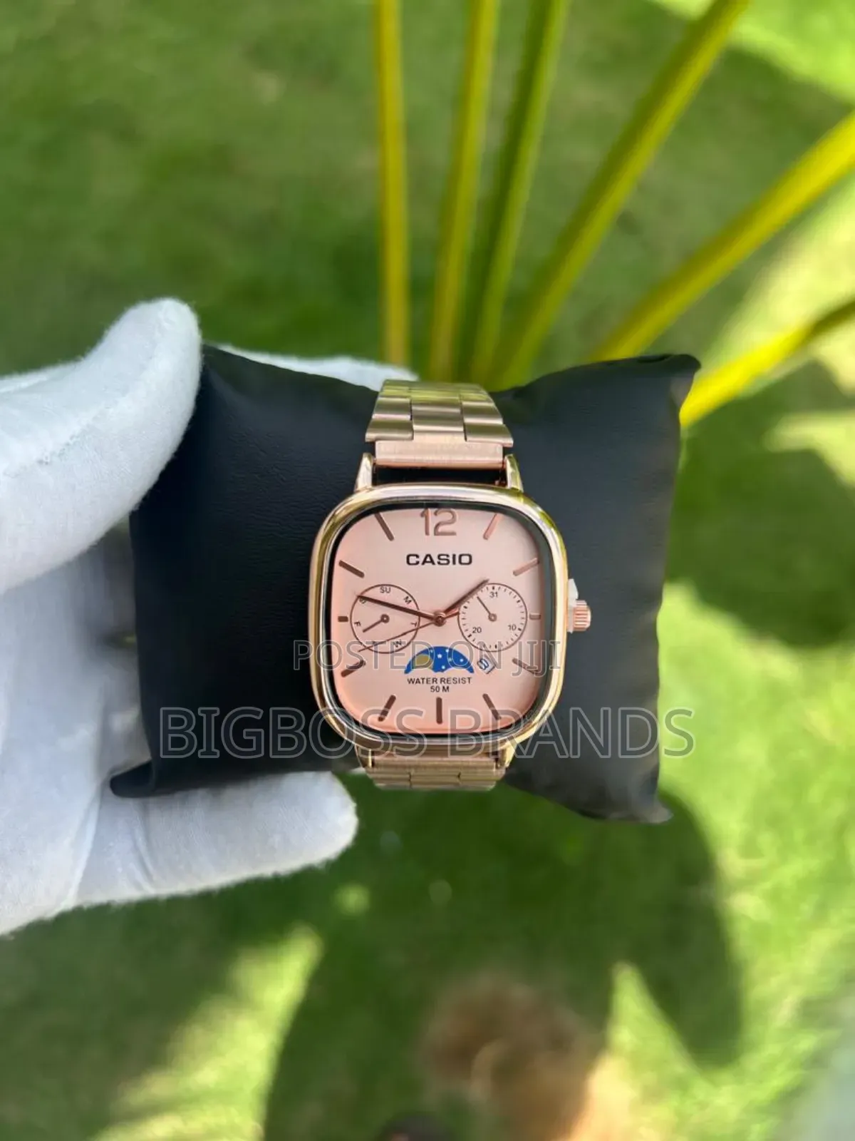 New Casio Watches /New Design