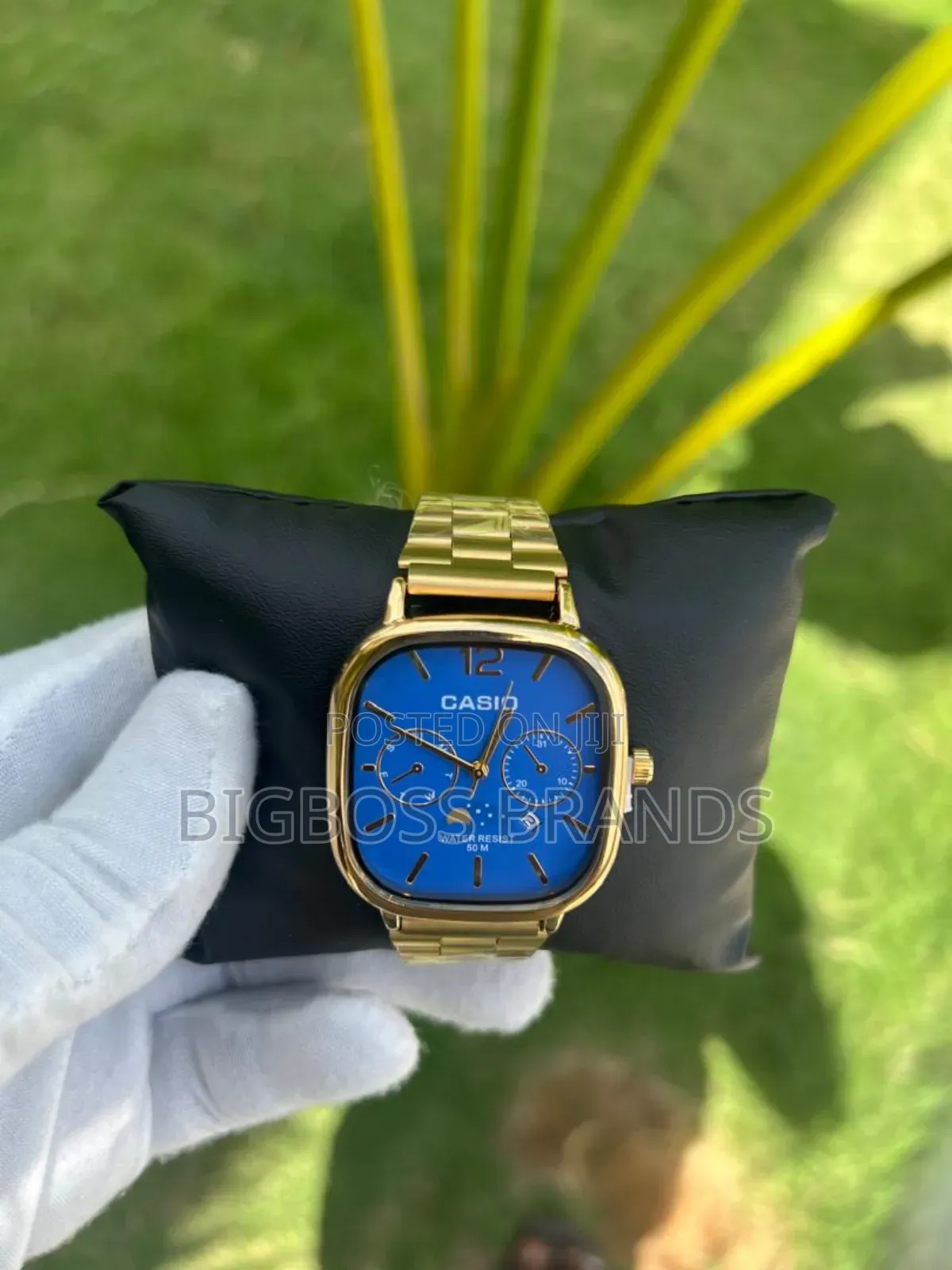 New Casio Watches /New Design
