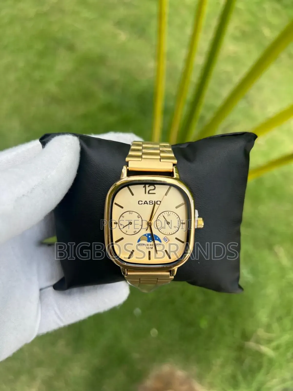 New Casio Watches /New Design