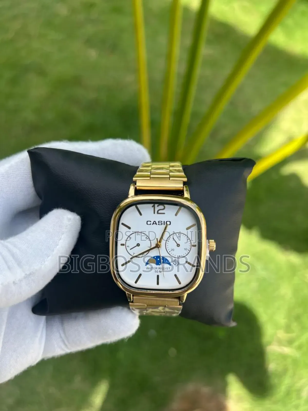 New Casio Watches /New Design