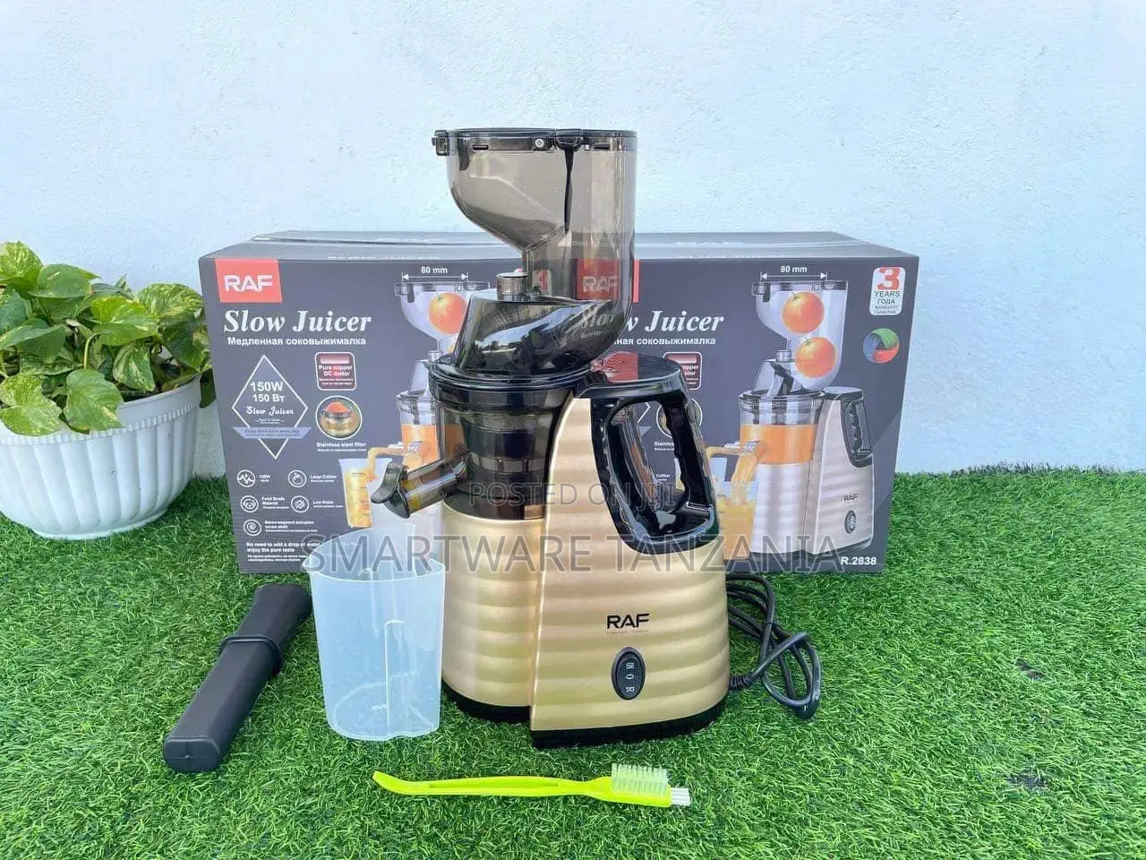 Dual Speed Cold Press Professional Electric Slow Juicer