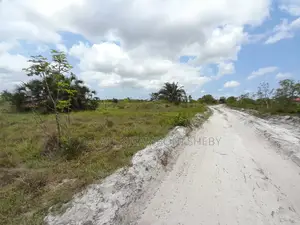 Eneo Linauzwa Kigamboni Mwasonga