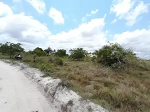 Eneo Linauzwa Kigamboni Mwasonga