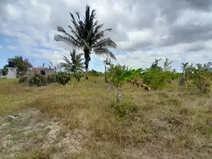 Eneo Linauzwa Kigamboni Mwasonga