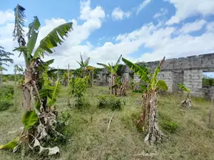 Eneo Linauzwa Kigamboni Mwasonga