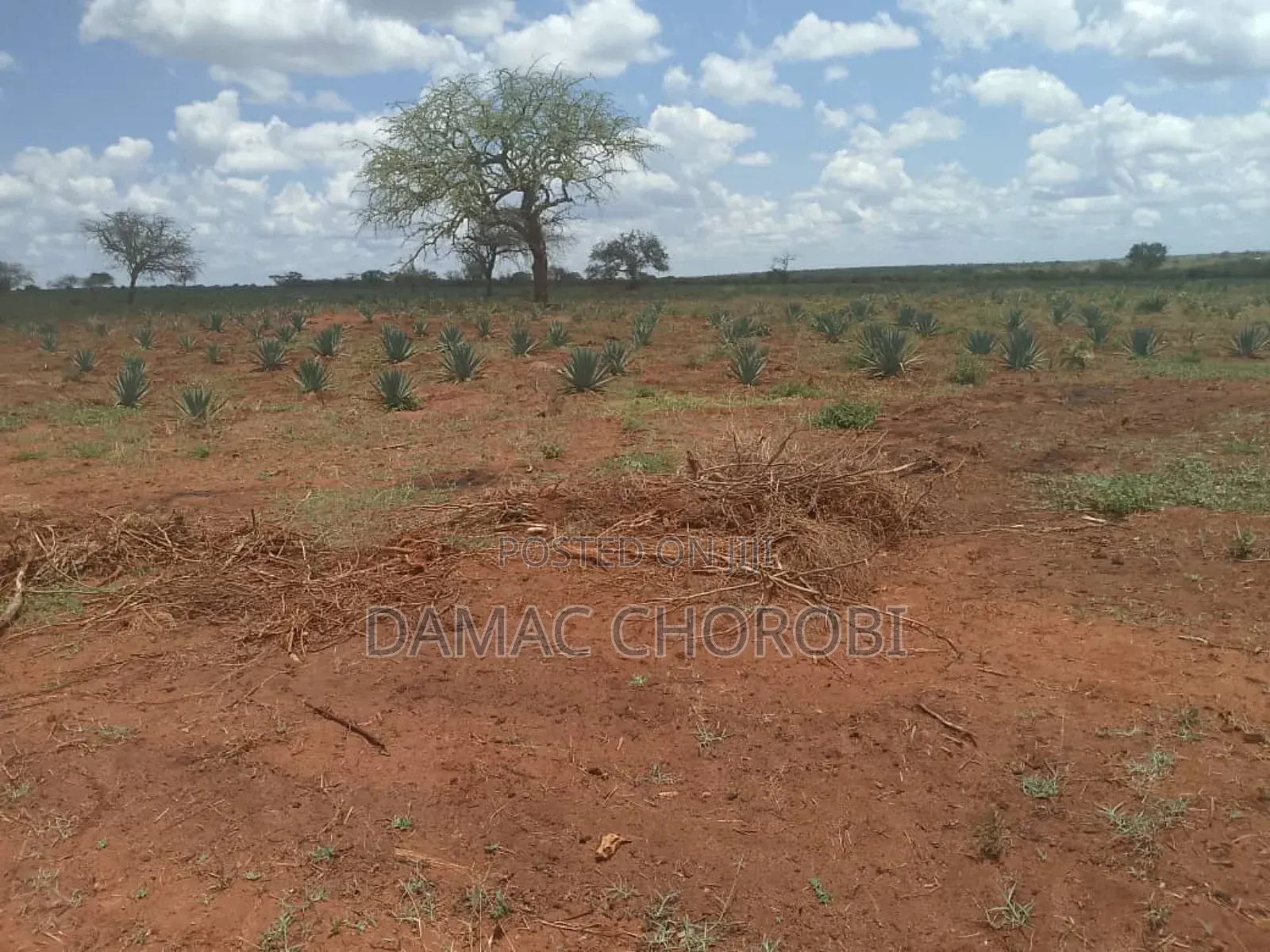Shsma Acre 3000 Pangani Tanga Linauzwa