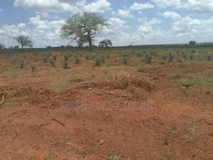 Shsma Acre 3000 Pangani Tanga Linauzwa