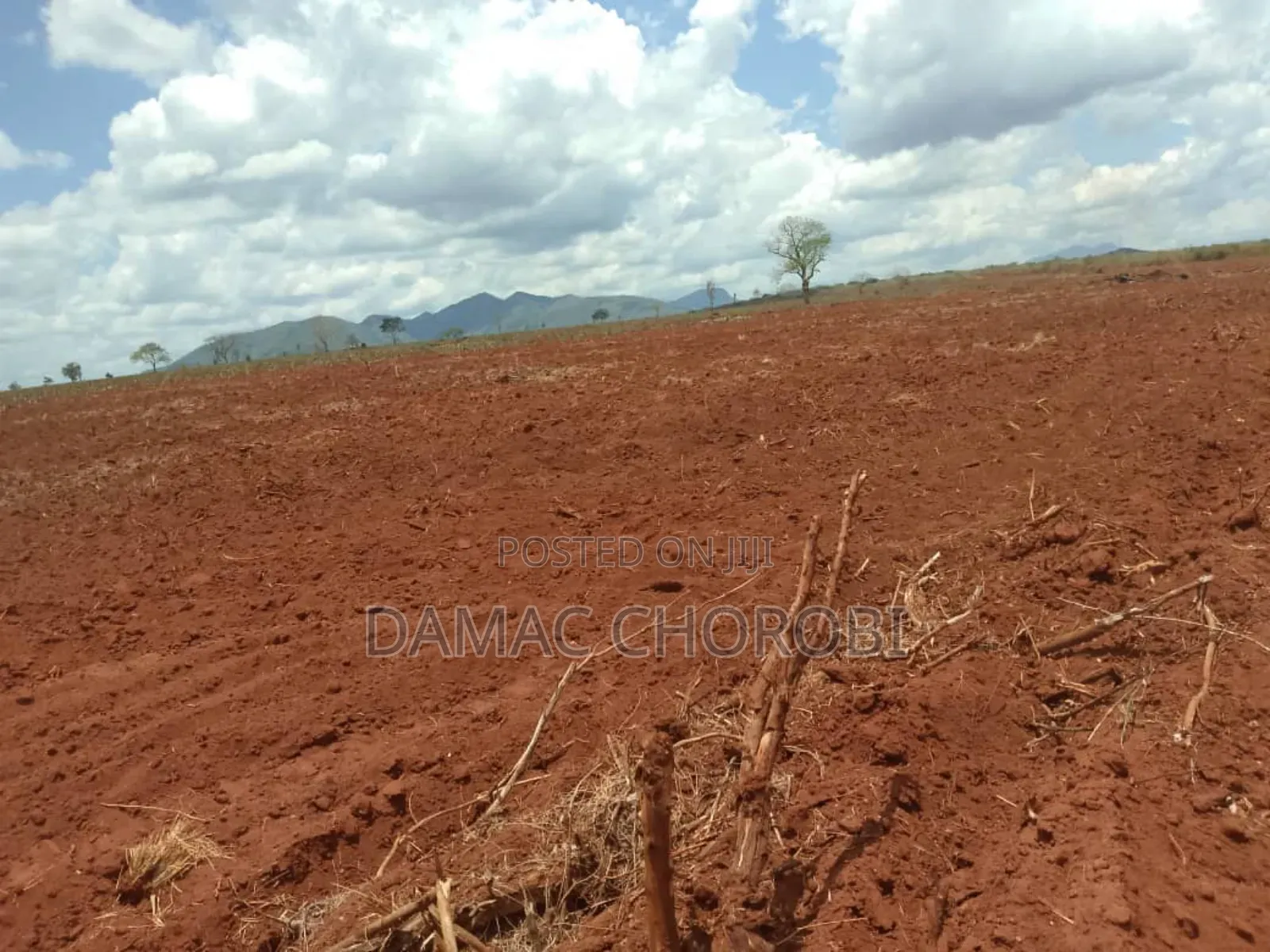 Shsma Acre 3000 Pangani Tanga Linauzwa