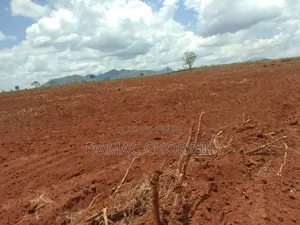 Shsma Acre 3000 Pangani Tanga Linauzwa