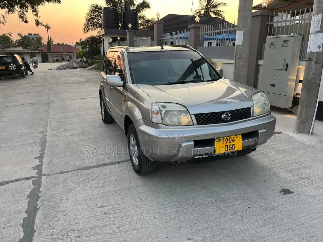 Nissan X-Trail 2005 Silver