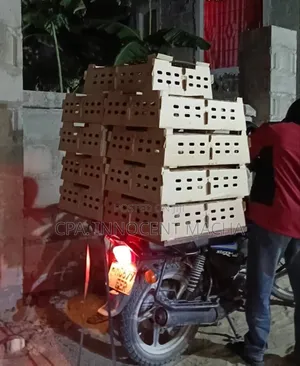 Vifaranga Wa Kuroiler