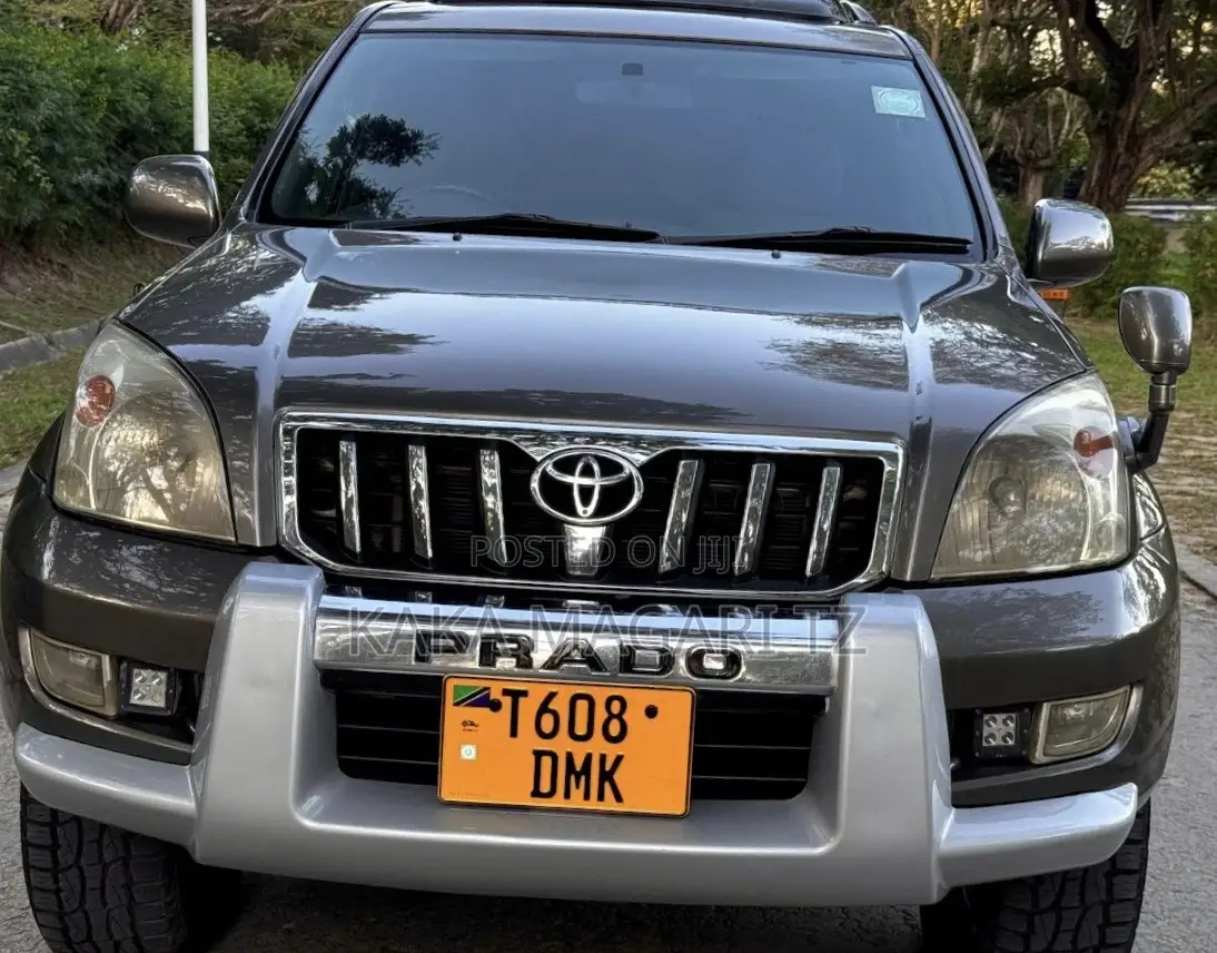 Toyota Land Cruiser Prado 2004 Gray