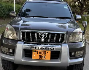 Toyota Land Cruiser Prado 2004 Gray