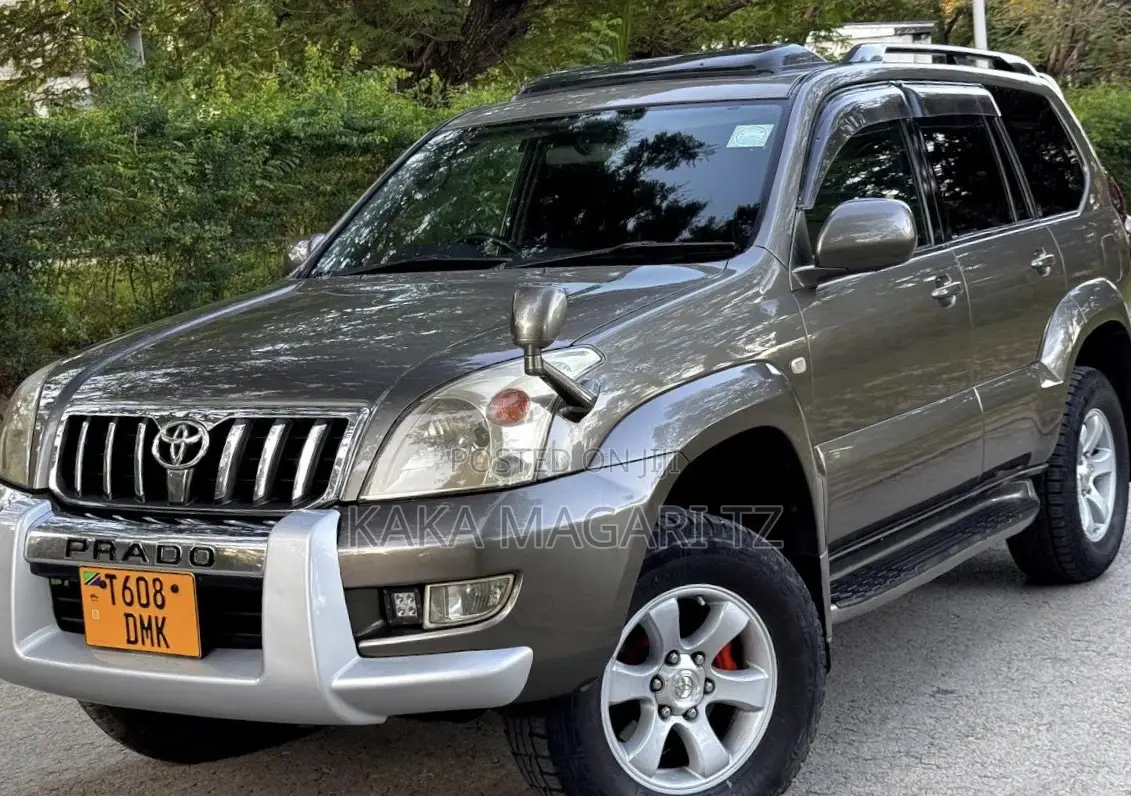 Toyota Land Cruiser Prado 2004 Gray