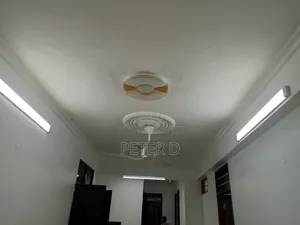 3bdrm Apartment in Kariakoo for rent