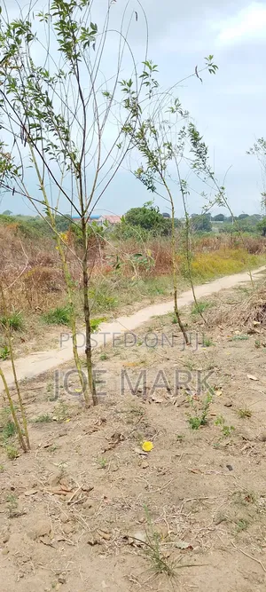 Eneo La Viwanda Linauzwa Kibaha