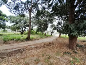 Eneo Linalogusa Lami Linauzwa Kigamboni Mji Mwema