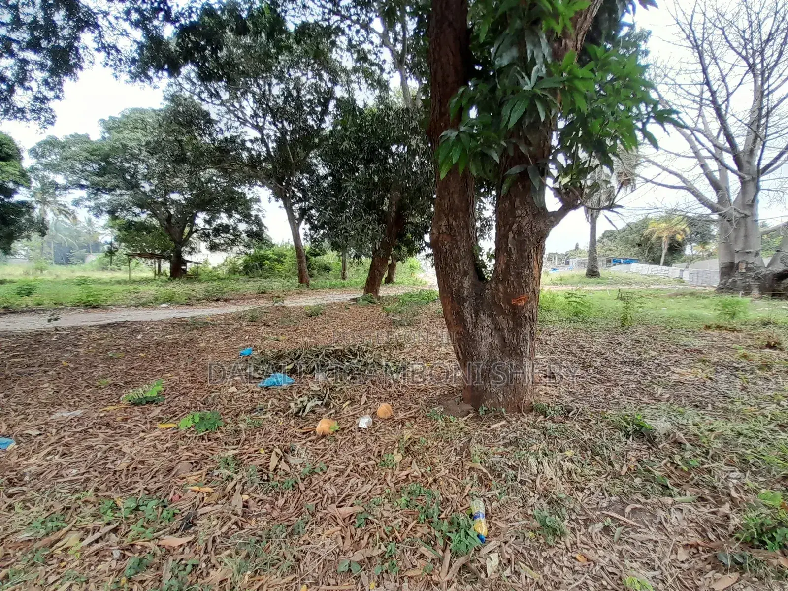 Eneo Linalogusa Lami Linauzwa Kigamboni Mji Mwema