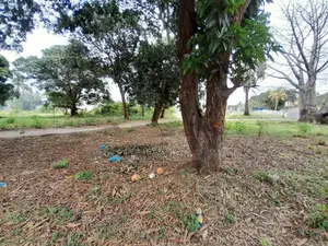 Eneo Linalogusa Lami Linauzwa Kigamboni Mji Mwema