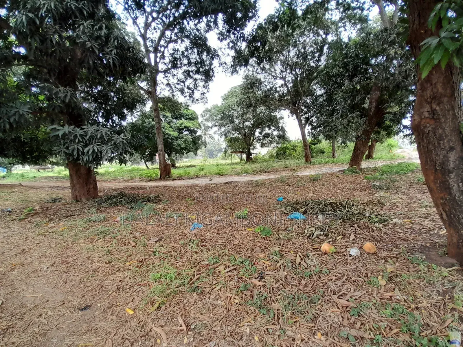 Eneo Linalogusa Lami Linauzwa Kigamboni Mji Mwema