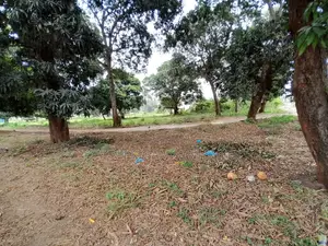 Eneo Linalogusa Lami Linauzwa Kigamboni Mji Mwema
