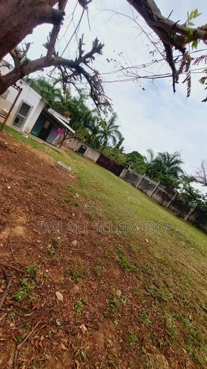 Plot Fenced Rent for Busness Only at Mbweni