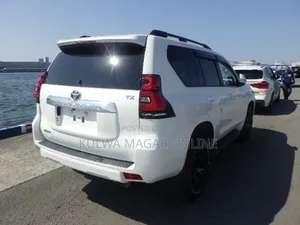 Toyota Land Cruiser 1999 White
