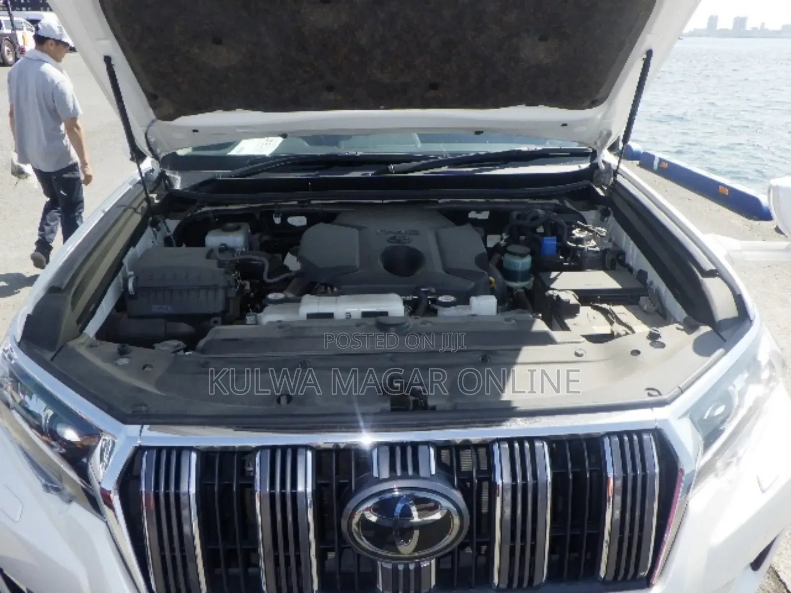 Toyota Land Cruiser 1999 White