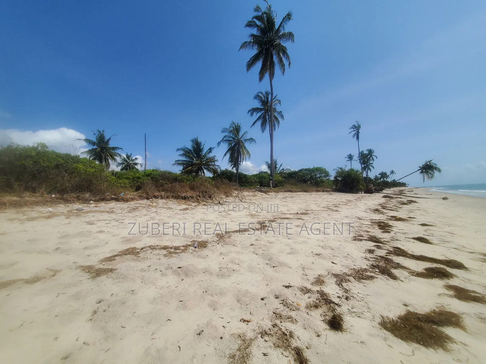 Amaizing Beach Plot on Sale Sange Pangani