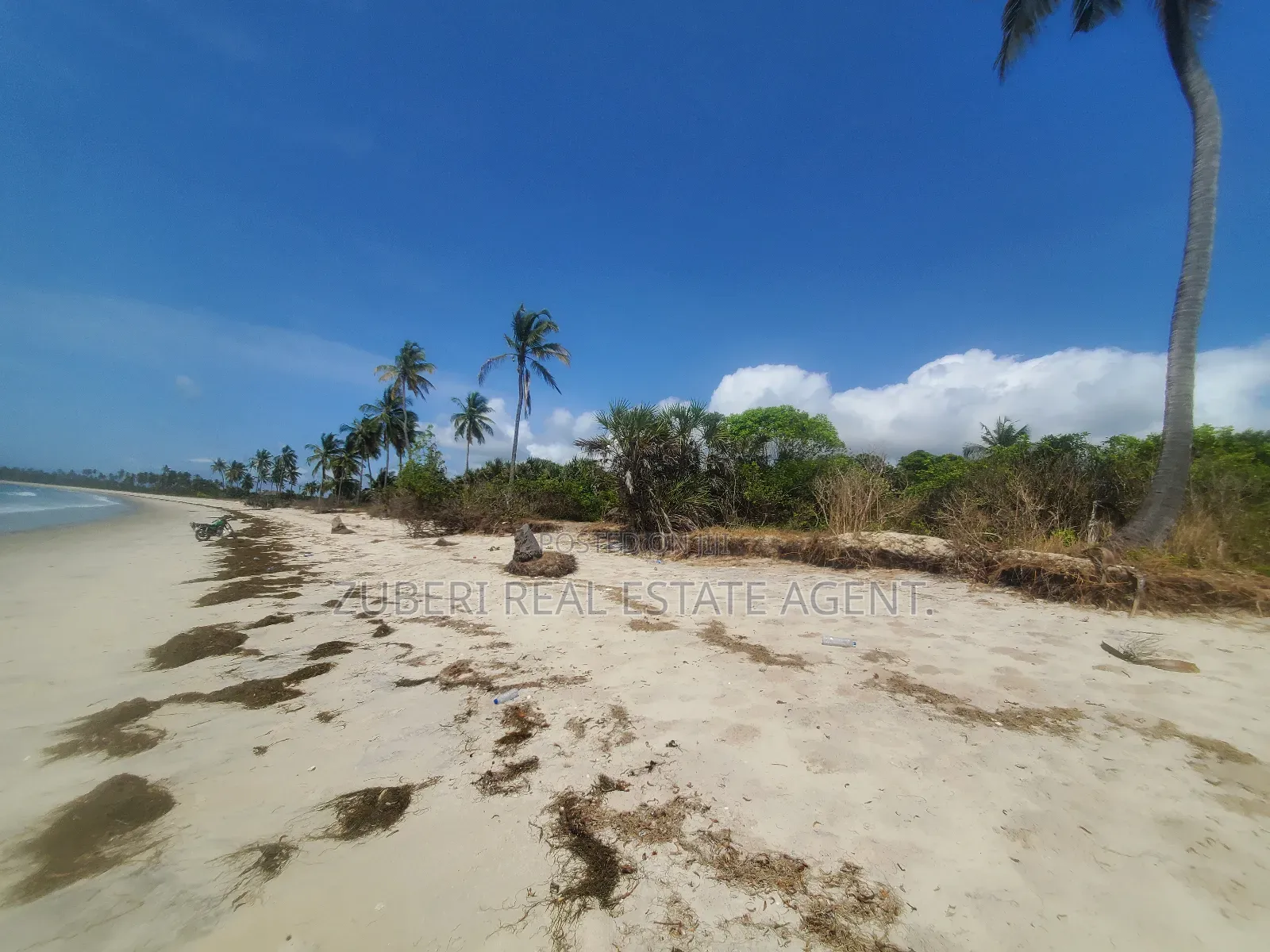 Amaizing Beach Plot on Sale Sange Pangani