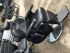 Barber Salon Chair