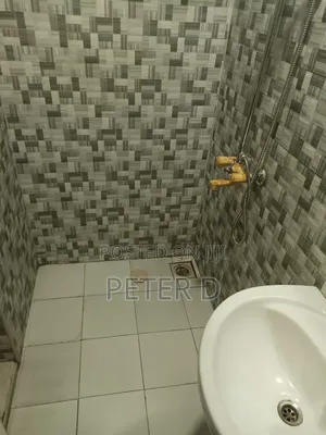3bdrm Apartment in Kariakoo for rent