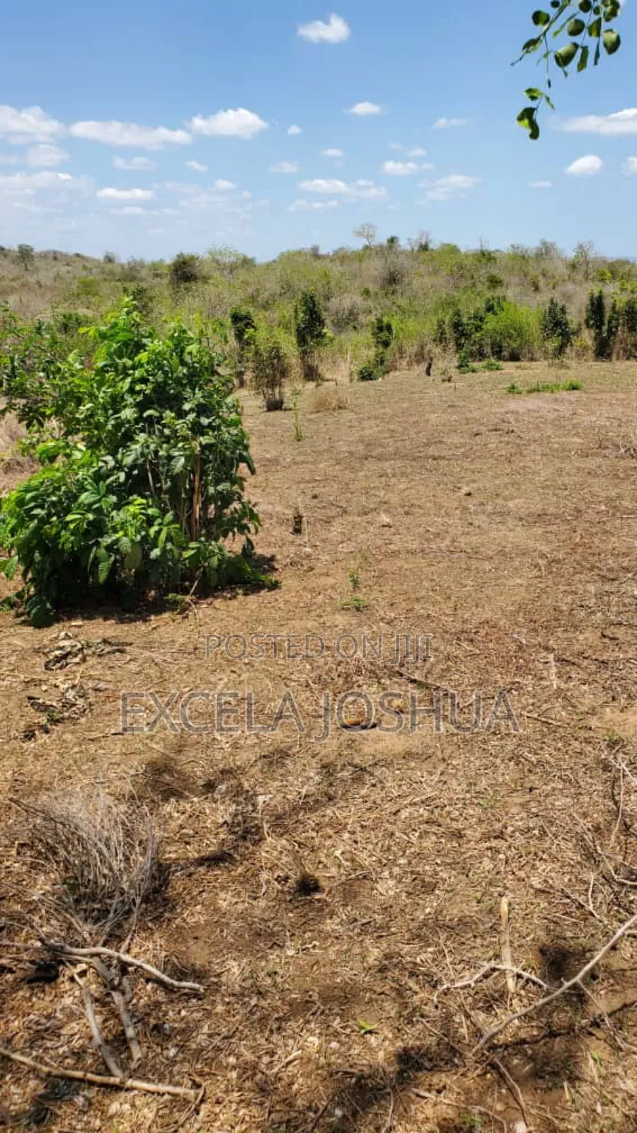 Shamba Linauzwa Kiwangwa Bagamoyo