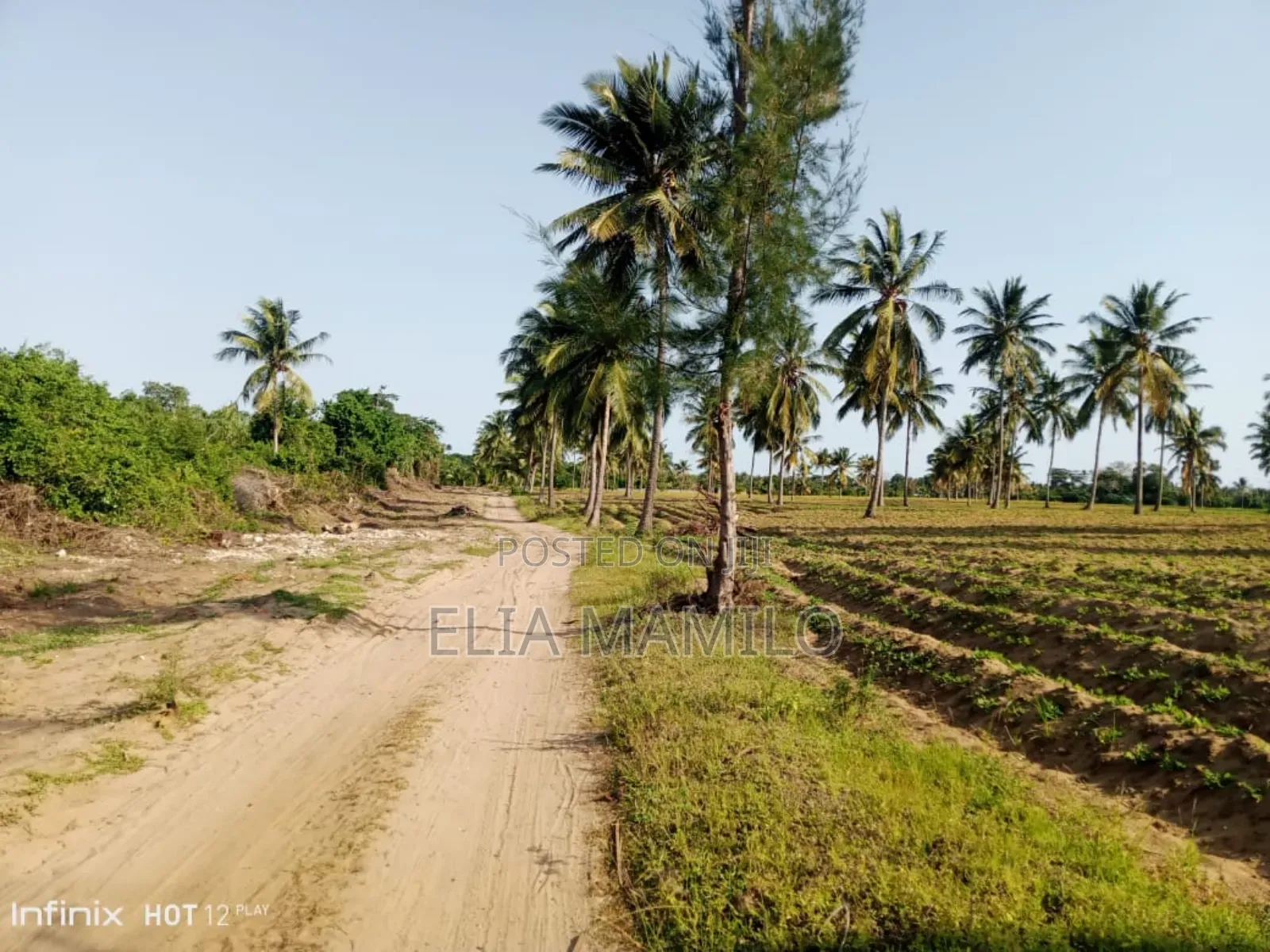 White Sand Beach Plot for Sale in Kizimkazi-Zanzibar