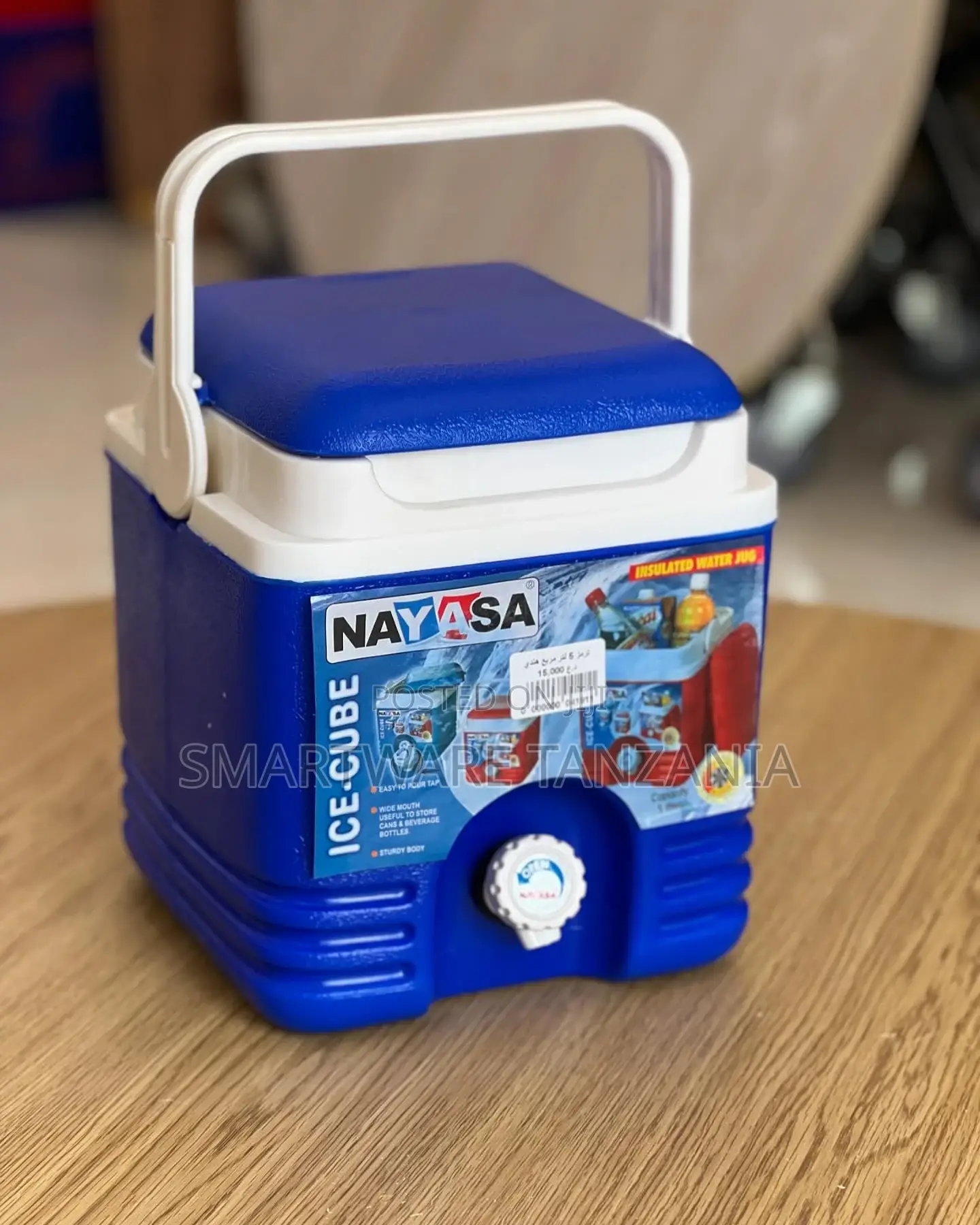 Insulated Portable Cooler, 8L Leakproof Outdoor Cooler Box