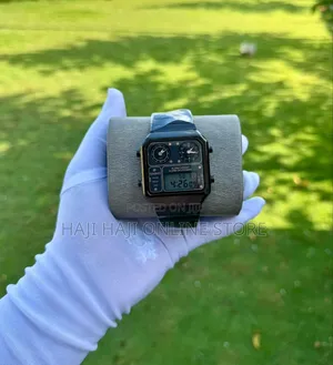 Casio Double Watch