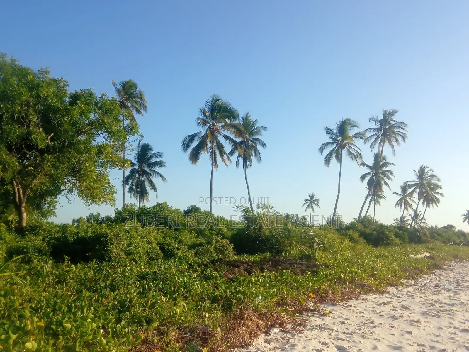 Beach Plot on Sale Stahabu Pwani Pangani .