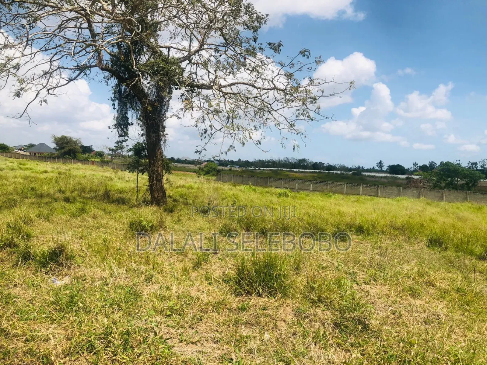 Plot and Godown at Bagamoyo Mapinga