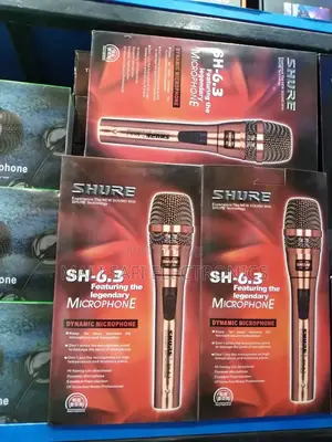 Dynamic Microphone