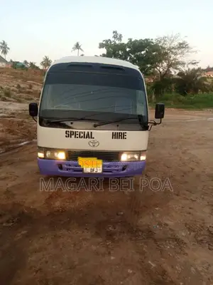 Toyota Coaster 2004 Silver