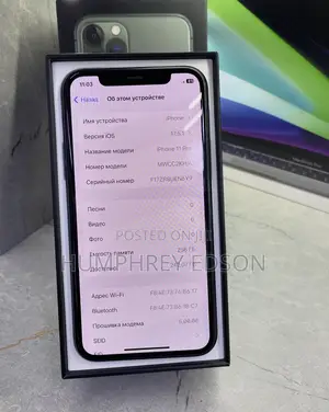 New Apple iPhone 11 Pro Max 256 GB Gray